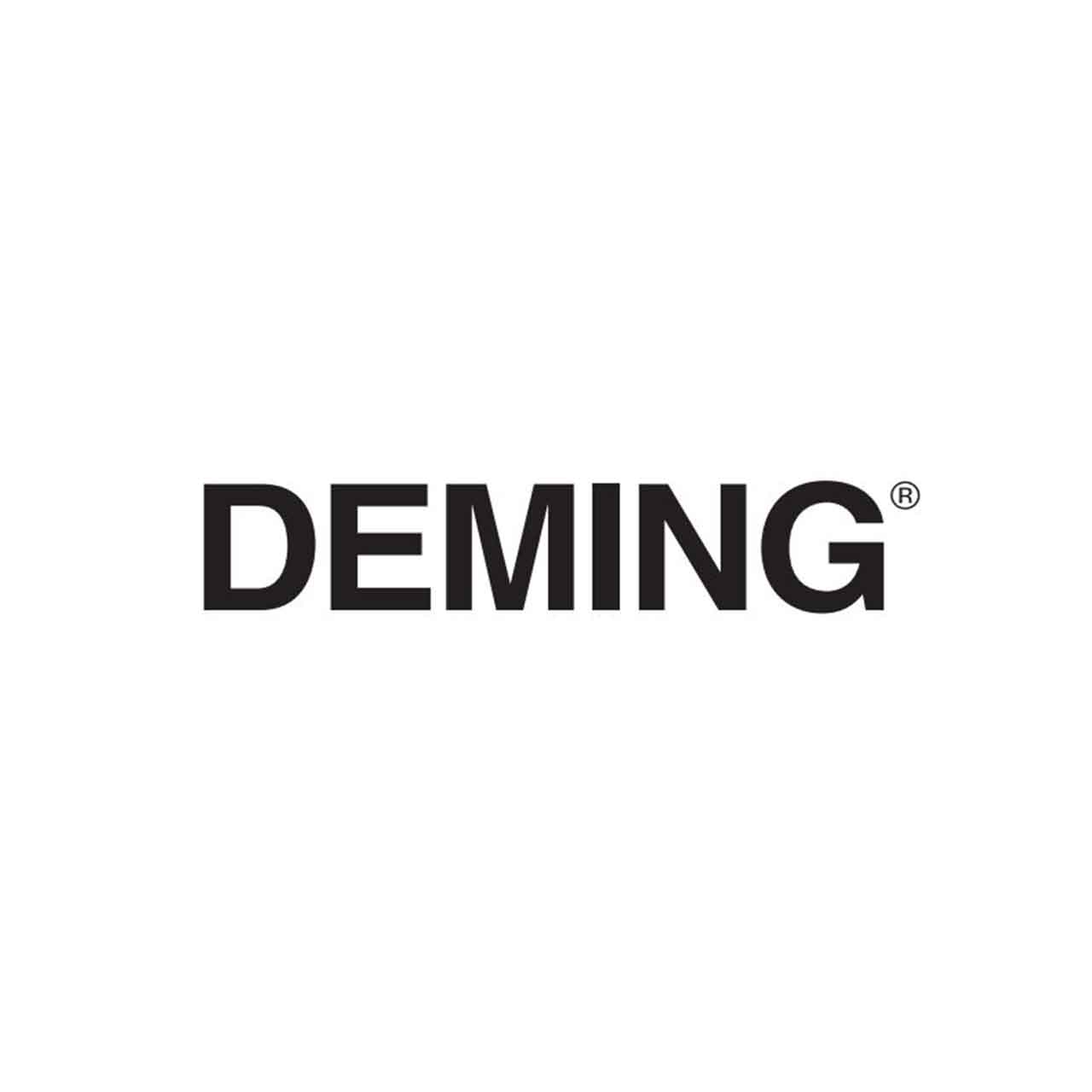 Deming Power Cord 138320 #5 Frame for 7366/7366N and 7365/7365N Series Pumps