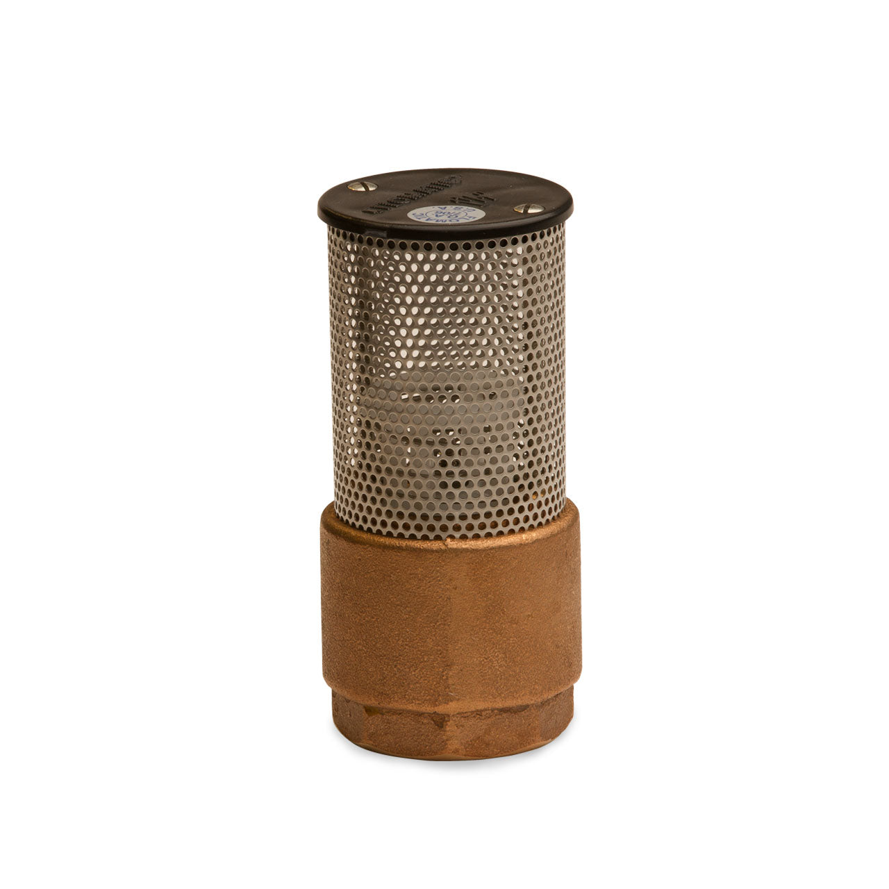 Flomatic 60SE 4101E Foot Valve 1"