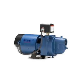 Flint & Walling EK07S Model EK Shallow Well Jet Pump 0.75 HP 115V/230V 1PH nonsubmersible pump, cast iron pump, shallow well jet pump, Flint & Walling shallow jet pump