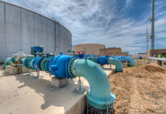 Participating in the Process