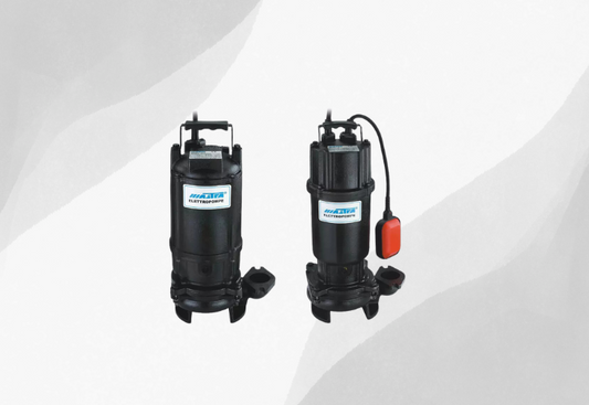 Idaho Division of Building Safety Revises Policy On Submersible Lake Pumps