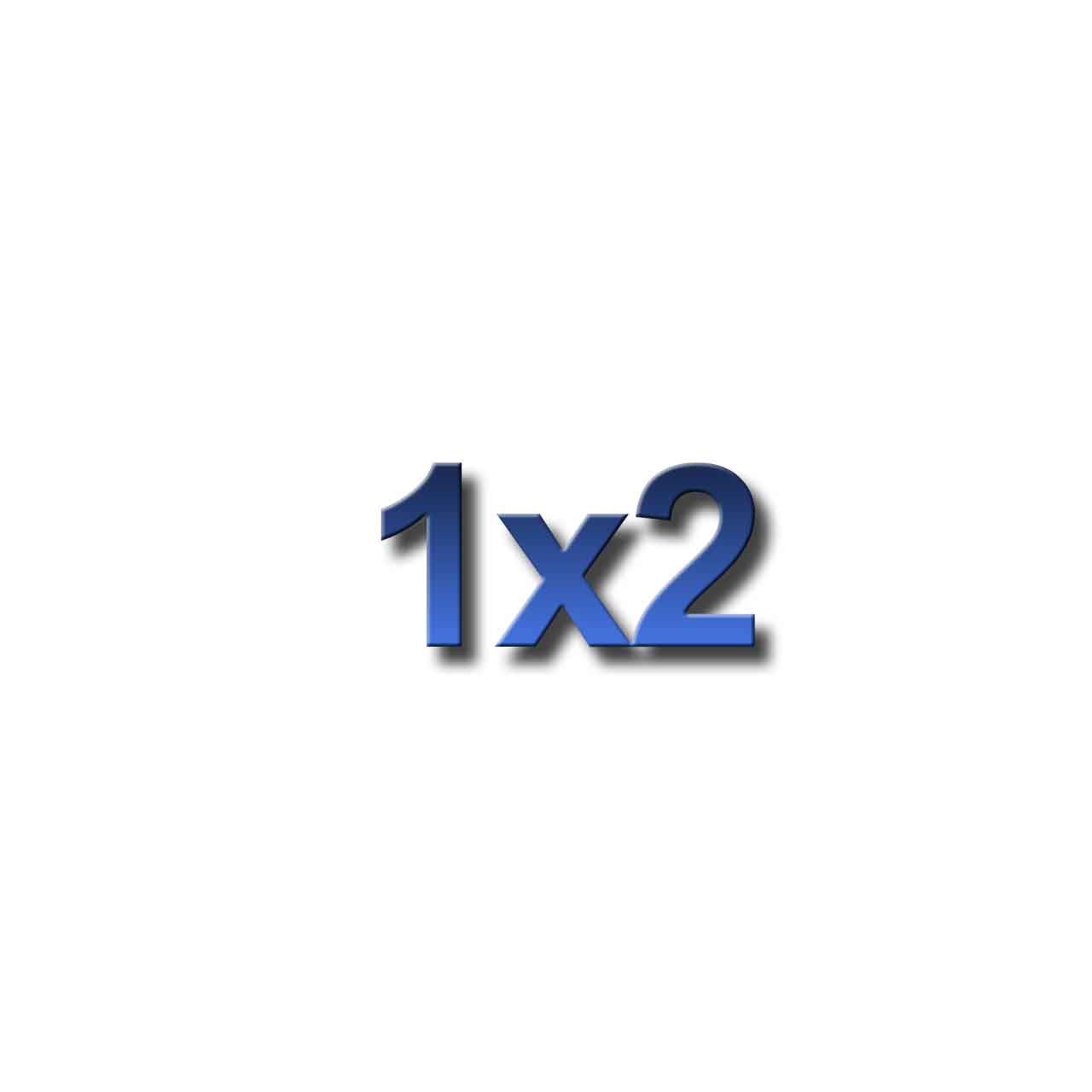 1 x 2