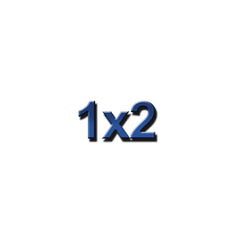 1 x 2