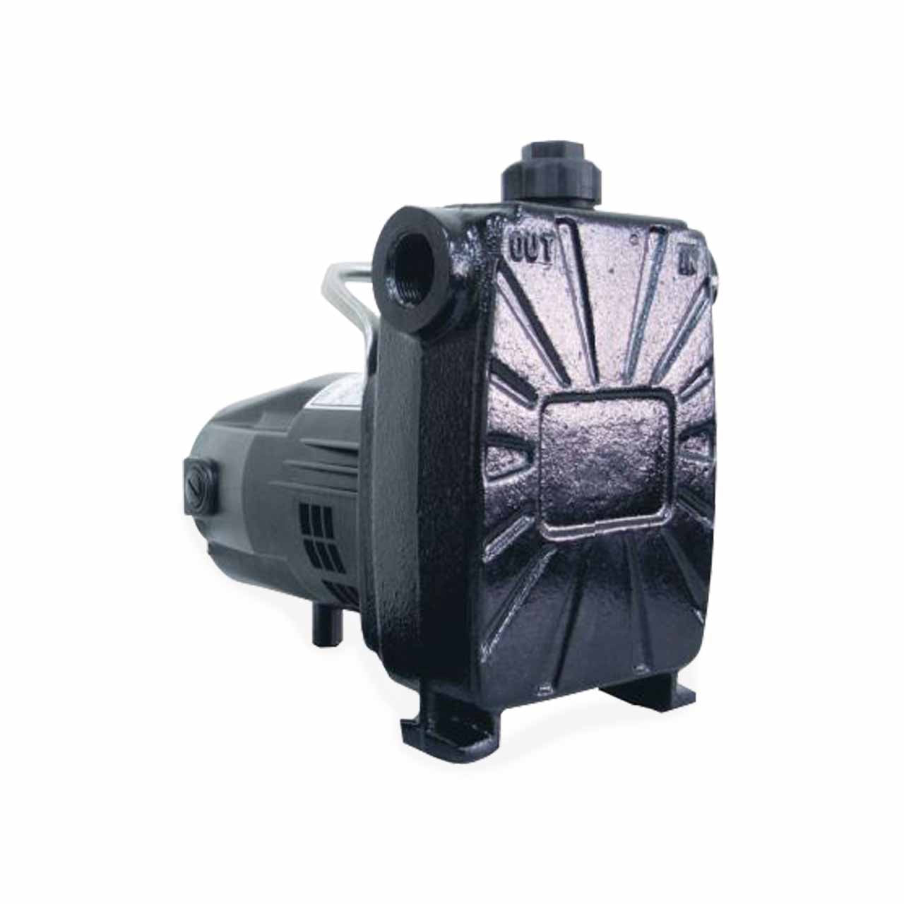 Barnes Series BT50 Transfer Pump  0.5 HP 120V 1PH