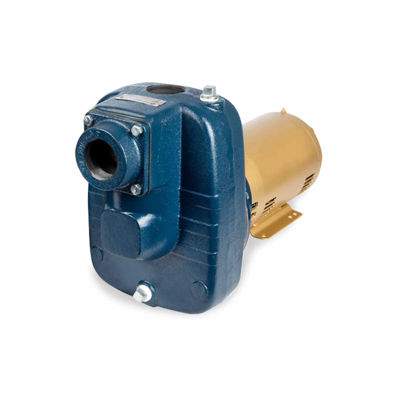 Franklin Electric FTB5CI-T Turf Boss Self Priming Pump 5.0 HP 230/460V  3PH