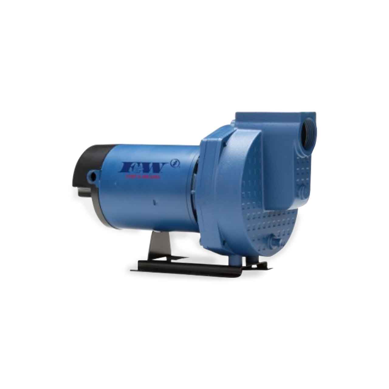 Flint & Walling SPJ20B1 SPJ High-Volume Lawn Sprinkler Pump 2.0 HP 115/230V Single Phase