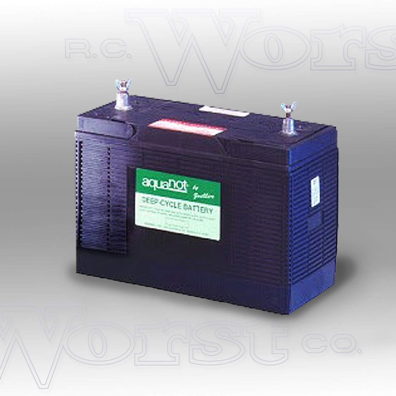 Zoeller 10-0761 Aquanot 12V Deep Cycle Wet Battery