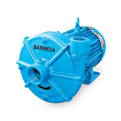 Barmesa IA1 1/2-7.5-2 TEFC End-Suction Centrifugal Pump 7.5 HP 3PH end-suction pumps, centrifugal pumps, Barmesa IA Series, IA Series, Barmesa Pumps,end-suction centrifugal pumps