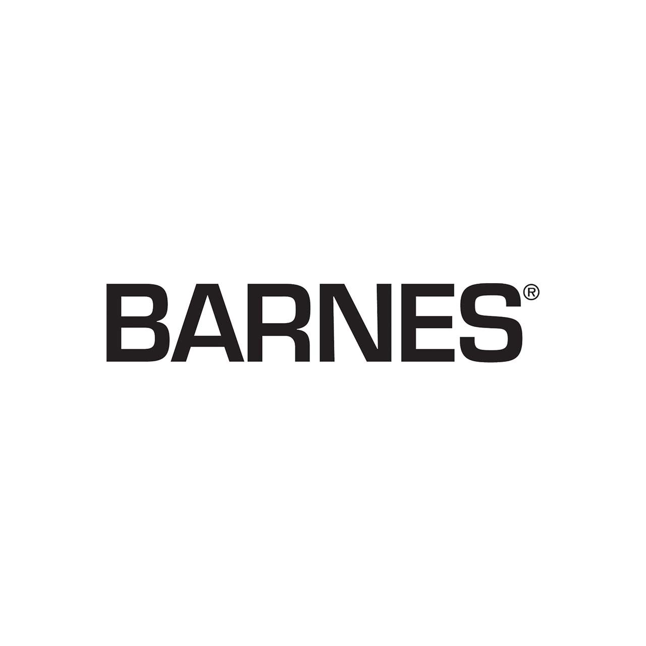 barnes xgv30n2 pump costs