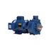 Flint & Walling C22251 Industrial Centrifugal Pump 5.0 HP 208/230V Single Phase