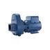 Flint & Walling SPM301 SPM High Power Centrifugal Pump 3.0 HP 208-230/460V Single Phase